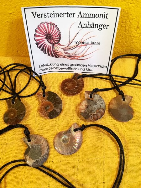 Versteinerter Ammonit Anhänger mit Band